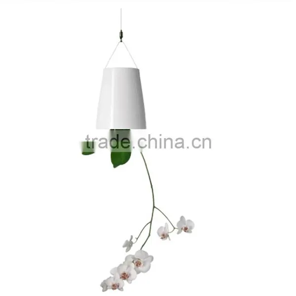 Plastic Sky Planter Creative Decorative Home Mini Sky Garden Flower Pot Beauty Sky Planter photo-6