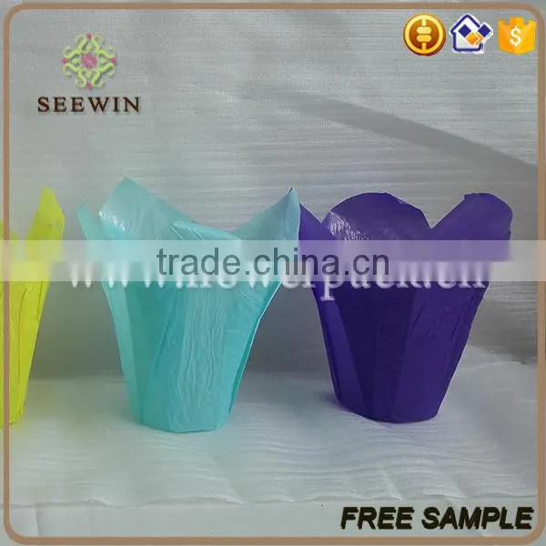 Wholesale Various Colors Bopp Plastic Flower Pot photo-3