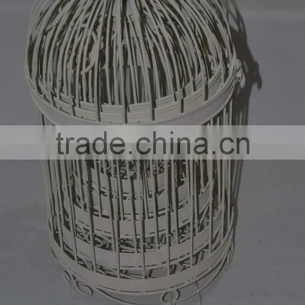 Big Birdcage photo-2