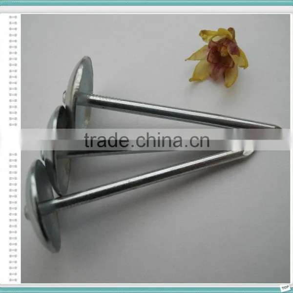 Galvanized Roofing Nails for Turkey Market photo-6