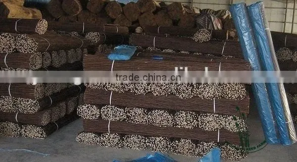 Willow Fence photo-3