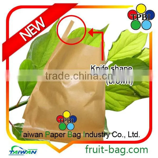 Cultivator Names of Branded Bags Brand Name Grapes photo-2