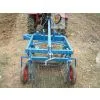 Harvester of Yams photo-3