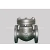 ANSI Check Valve