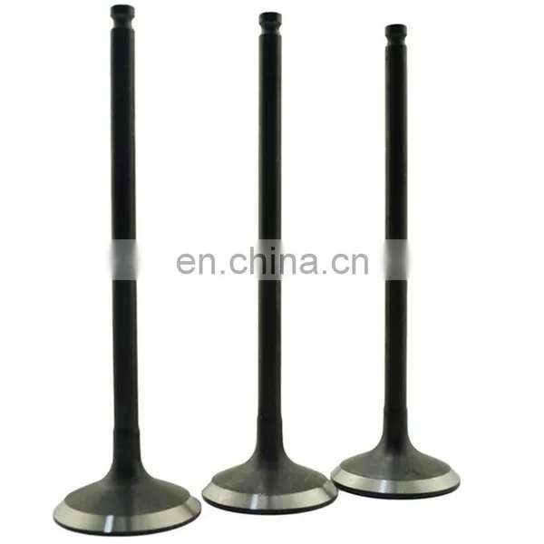 Racing Component Motor Spare Parts For Opel 3.0l 6cyl 24v C30SE C20LET Engine Valves photo-3