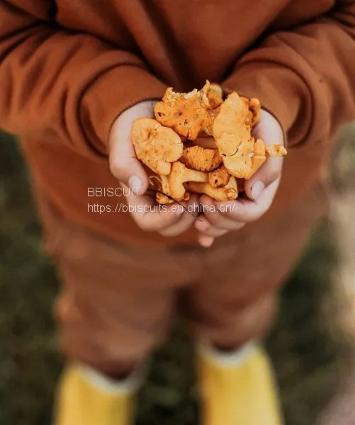 BISCUIT photo-2