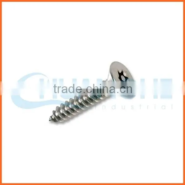 China Supplier Six-lobe Tamper Anti-theft Screw photo-3