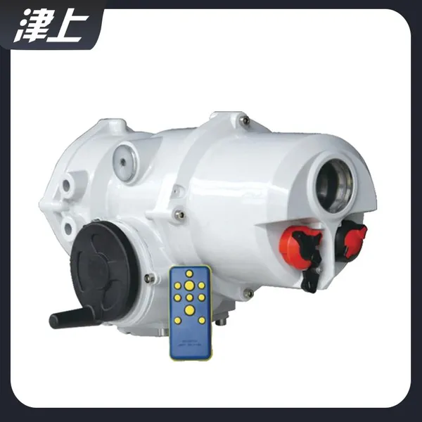 Angular Stroke Electric Actuator IT50 Industrial Bus Type Electric Actuator photo-3