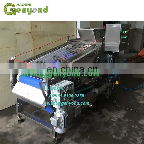 Energy Saving Apple Juice Belt Press / Juicer Machine photo-2