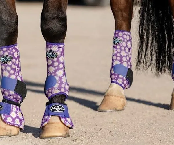 Lightweight Neoprene Leg Protector Horse Equipment Equestrian Horse Tendon Boot
