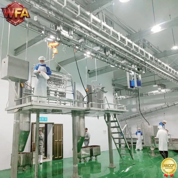 Complete Automatic Beef Slaughtering Line - Halal Cattle Abattoir Equipment & Industrial Livestock Processing Machinery