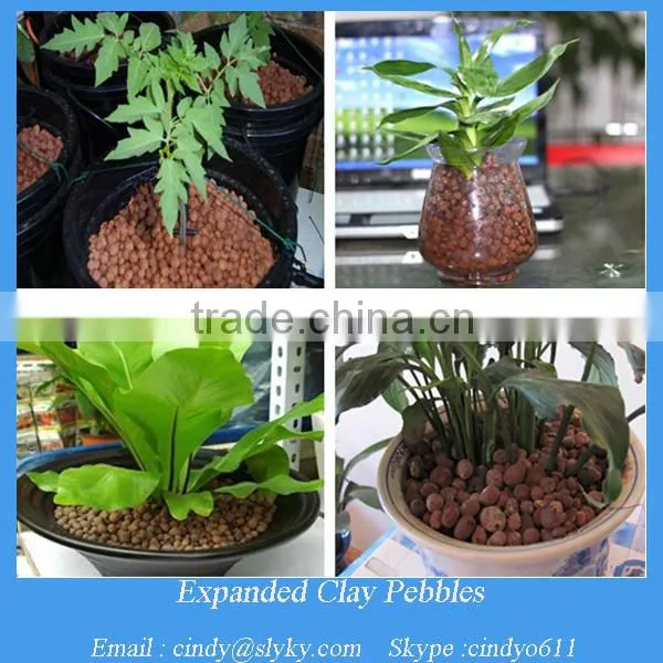 4-20 mm Red Clay Pellets Ball Fertilizer in Miniature Pot