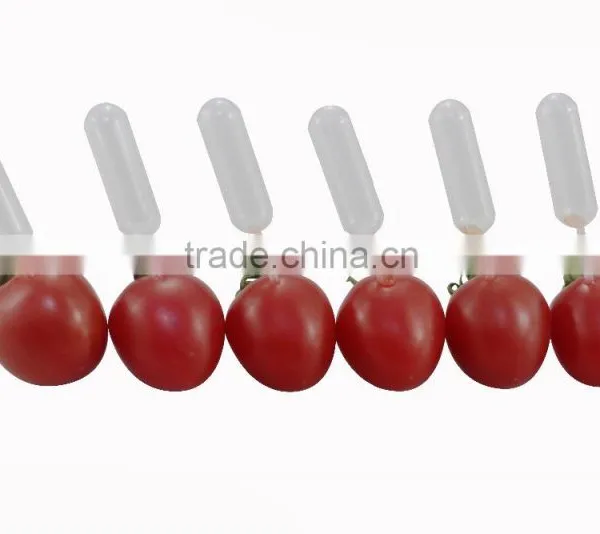 Trade Assurance Mini 3ml 5ml pe Clear Sun Shape Heart Shape Plastic Pipettes Droppers photo-6