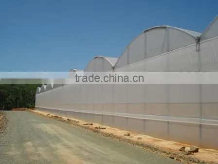 Hydroponic Controllers, Greenhouses and Commercial Hydroponic Systems for Tomato, Lettuce and Strawberry Production photo-4
