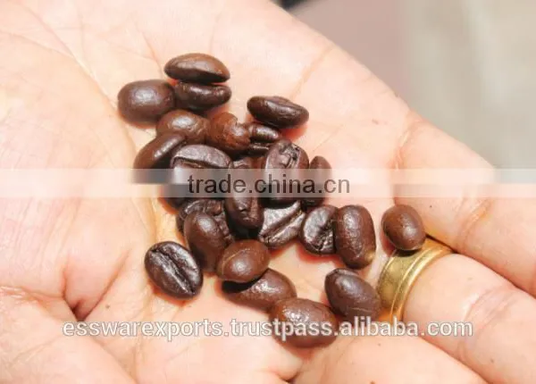 Wholesale Coffee Suppliers for Your Private Brands of Coffee photo-4