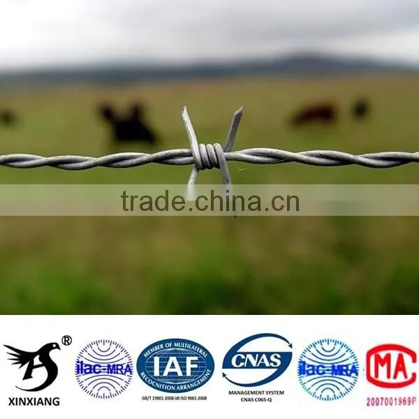 Cheap Barbed Wire photo-4