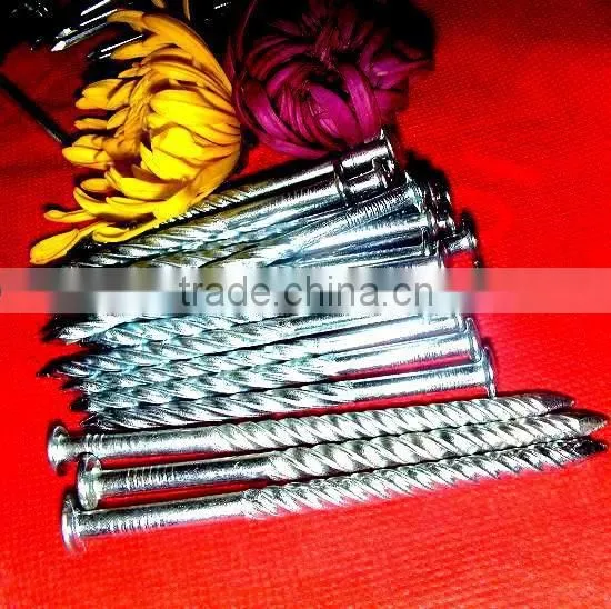 Seychelles Market Surface Elcecto Galvanzied Twisted Nails
