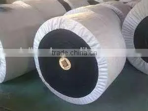 Acid and Alkali Resistant Conveyor Belt photo-2