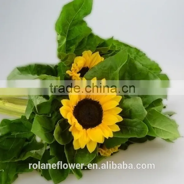 Most Popular Promotional Flower Wholesale Small Sunflower photo-3