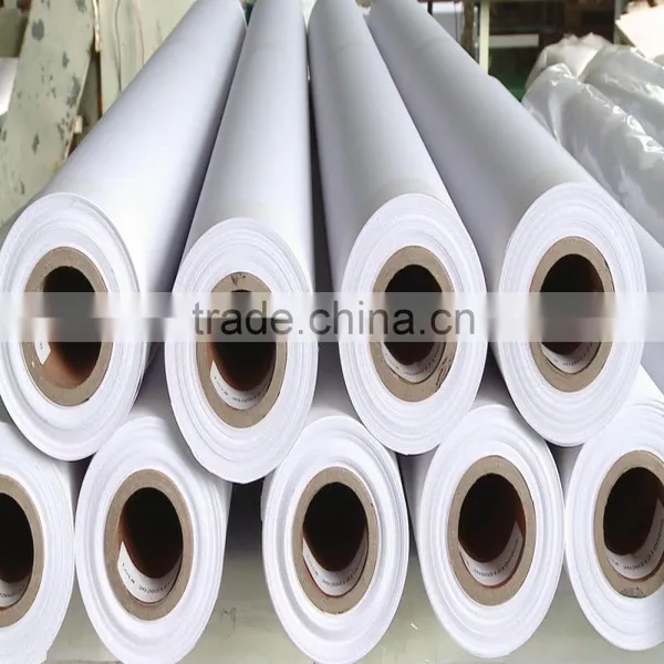 Home Decoration Canvas Roll/Giclee Canvas For Printing/Canvas Print