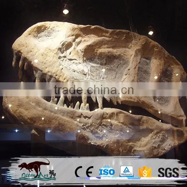 OA-DS-S287 Dinosaur Head Fiberglass Statue Dinosaur photo-4