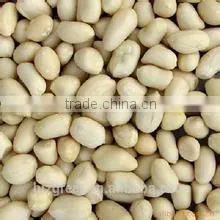 Supply Chinese Blanched Peanut Kernels Round for Sales photo-2