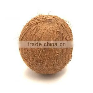 TTN Freeze Dried Fruit Juice Powder Prices of Desiccated Coconut Powder photo-2