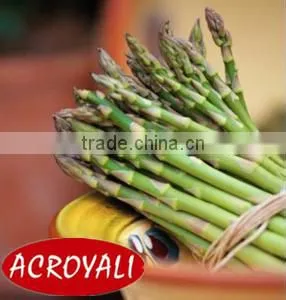 Canned Green Asparagus Tips and Cuts/Canned Food/Canned Vegetables photo-4