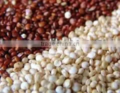 QUINOA CLEAN GRAIN QUINOA WHITE RED BLACK POWDER