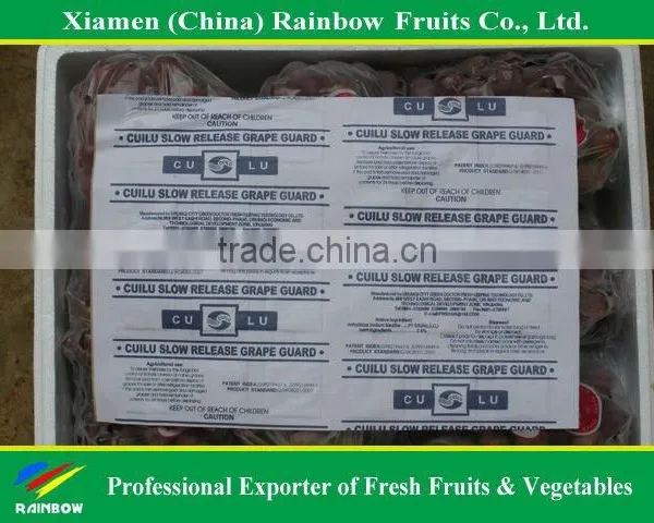 Top Quality Fresh Sweet Yunnan Red Grapes for Sell With POP SGV Brand photo-4