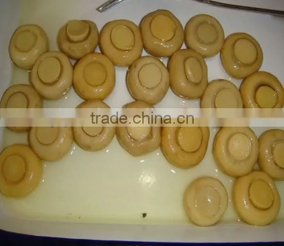 Canned Seafoods Chinese Canned Sardines