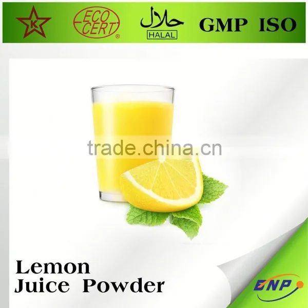 Organic Freeze Dried Fruit Powder photo-2