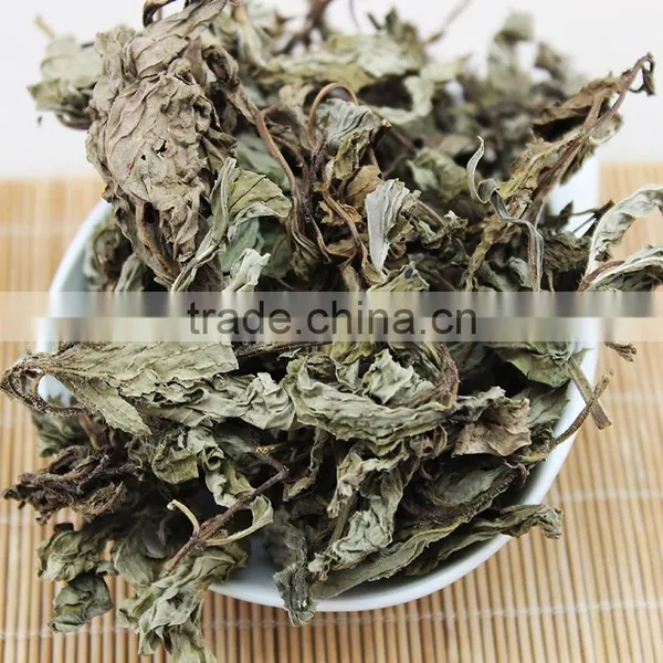 Dried Mint Leaf,spearmint Tea,organic Spearmint Tea photo-3