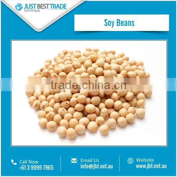 High Quality Full of Carbohydrates Soy Beans From Top Rated Brand