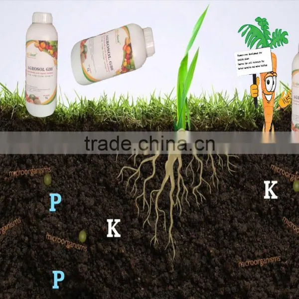 Controlled Release Type and Liquid Fertilizer Type Liquid Npk Fertilizer photo-4