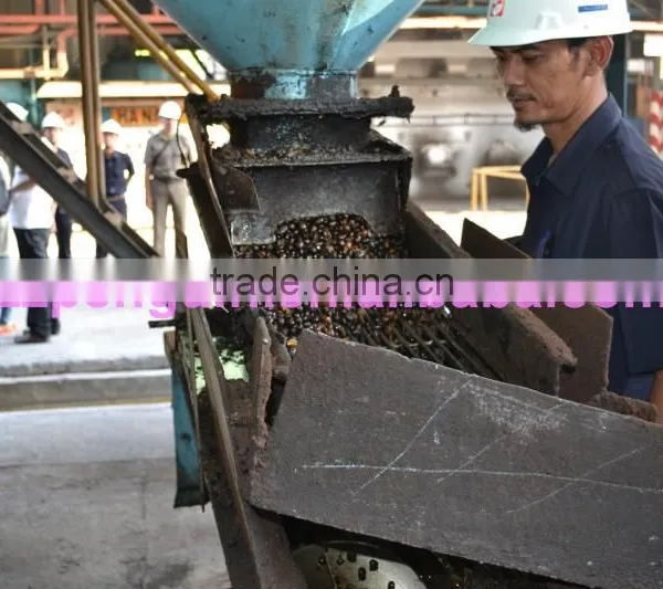 Most Popular Bottom Price in Africa 40TPH Palm Oil Equipment photo-5