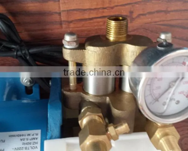 Water Pump 220 V DSY-60A photo-3