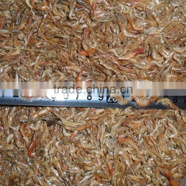 Top Quality Freshwater Sun Dried Shrimp photo-2