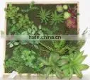 SJ0409032 Artificial Wall Plant Indoor Plastic Green Wall photo-3