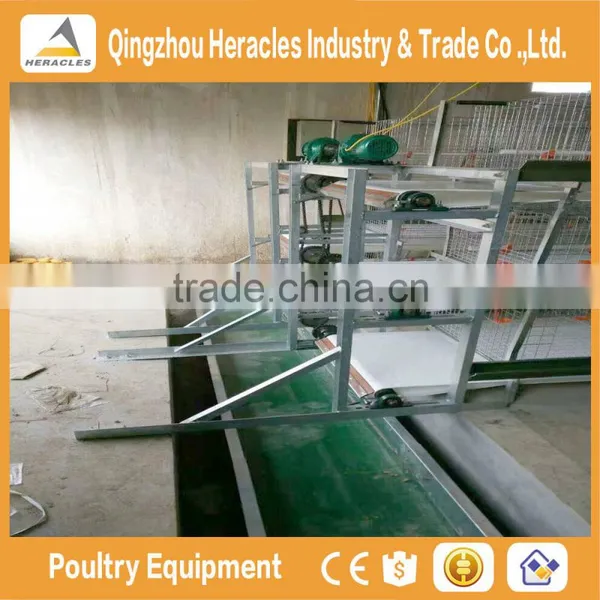 China Factory Price Trade Assurance Chicken Poultry Farm Equipment Layer Cage photo-6