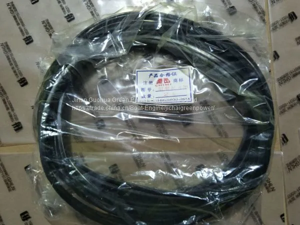 Jinan Chidong Engine Spare Parts Seal Ring,elecrticity Relay,centrifugal,compression Ring,cylinder Liner photo-4