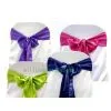 SATIN SASHE