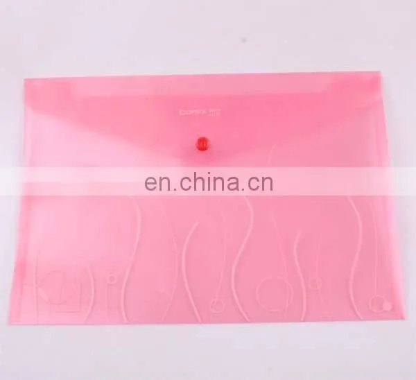 Transparent a4 File Holder photo-6