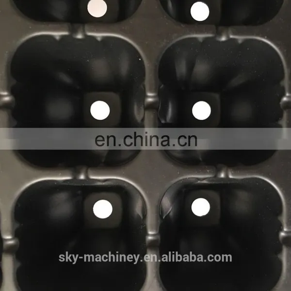 50 Holes Plastic Seed Tray photo-4