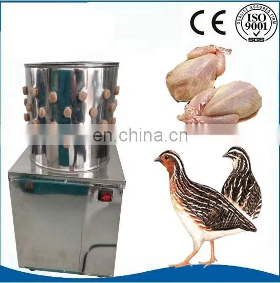 98% Unhairing Rate Chicken Plucking Machine Chicken Killing Machine For Sale photo-6