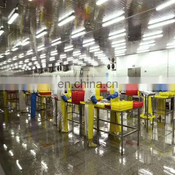 Small Commercial Canned Scrab Production Line photo-3