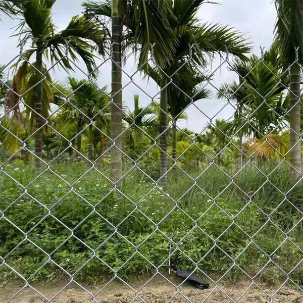 High Standard Portable Anti-rust Galvanized Perimeter Diamond Mesh Chain Link Fence photo-4