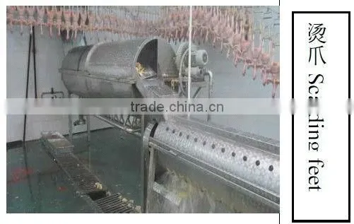 Poultry Feet Skin Removing photo-3