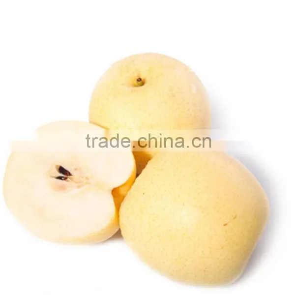 Popular 2015 Fresh Shandong Pear photo-4