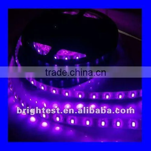 3m Adhesive RGB 5050 LED UV Strip, DC 12V 24V 60pcs/m Flexible LED Strip photo-5